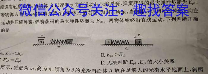 云南省期末模拟考试高二年级试卷(24-232B)物理`