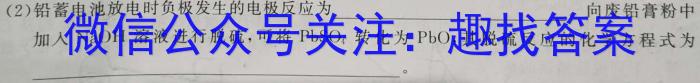 文博志鸿·2024年河北省初中毕业生升学文化课模拟考试（导向二）化学