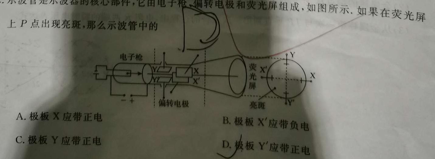 2024届新高三学情摸底考（新课标卷）(物理)试卷答案