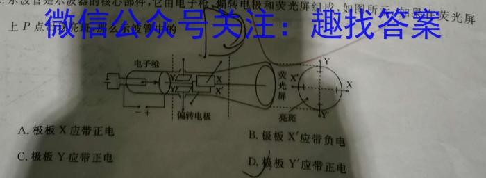 九师联盟 2024届高三2月开学考N试题物理`