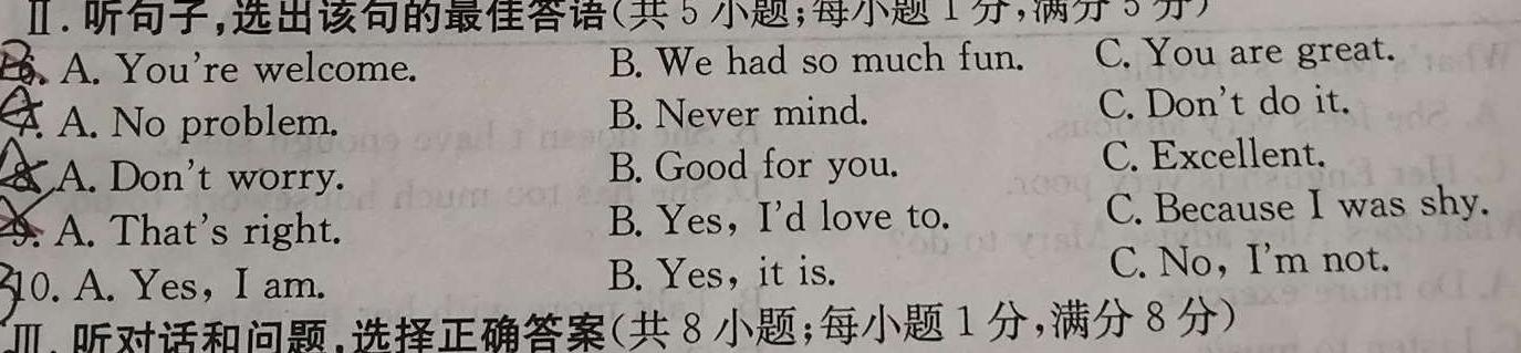 江西省宜昌市高安市2023-2024学年度九年级下学期期中质量监测英语试卷答案