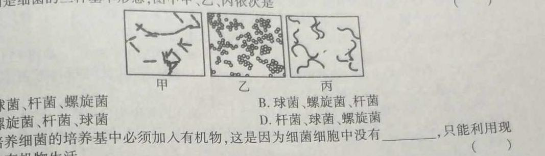 湖北省2024年春"荆、荆、襄、宜四地七校考试联盟"高二期中联考数学.考卷答案