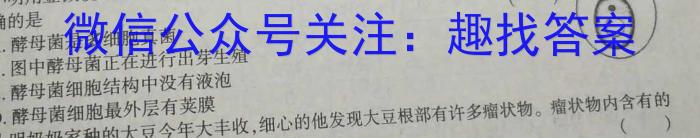 扬州市2023-2024学年第二学期期末检测（高二）数学