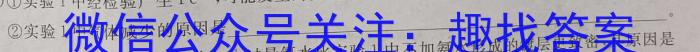 2024年山西省初中学业水平测试质量调研试卷（三）数学