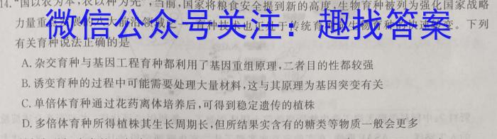 安徽省亳州市利辛县2023-2024学年度第一学期八年级期末教学质量检测数学