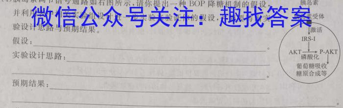 河南省郑州市2023-2024学年度高二年级上学期1月期末考试数学