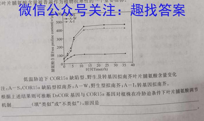 2023-2024安庆区域九年级期末检测(试题卷)数学