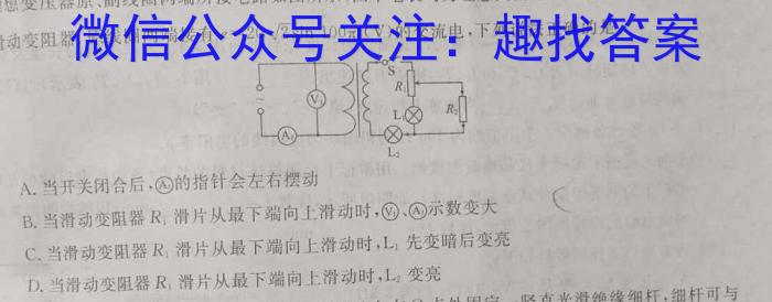 1号卷A10联盟2024年高考原创压轴卷(一)物理试卷答案