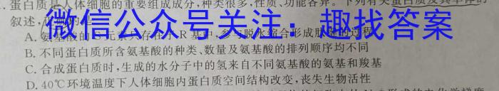 山东省烟台市2023-2024学年高二第一学期期末学业水平诊断考试生物学试题答案