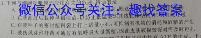 思而行教育·山西省2023-2024学年高一年级第一学期期末考试生物学试题答案