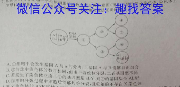 贵州省铜仁市2023-2024学年第二学期高二年级期末质量监测生物学试题答案