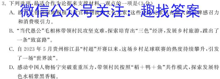 天一大联考·安徽省2023-2024学年第二学期高一下学期5月联考语文