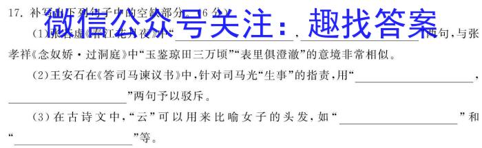 湖南省常德市2023-2024学年度上学期高三检测考试/语文