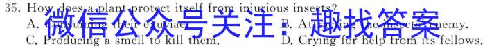 宝鸡市凤翔区2023年九年级第二次学业水平模拟检测英语试卷答案