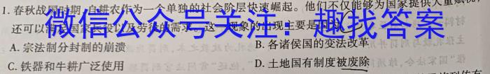 2024届[南充二诊]南充市高考适应性考试(二诊)历史试卷答案