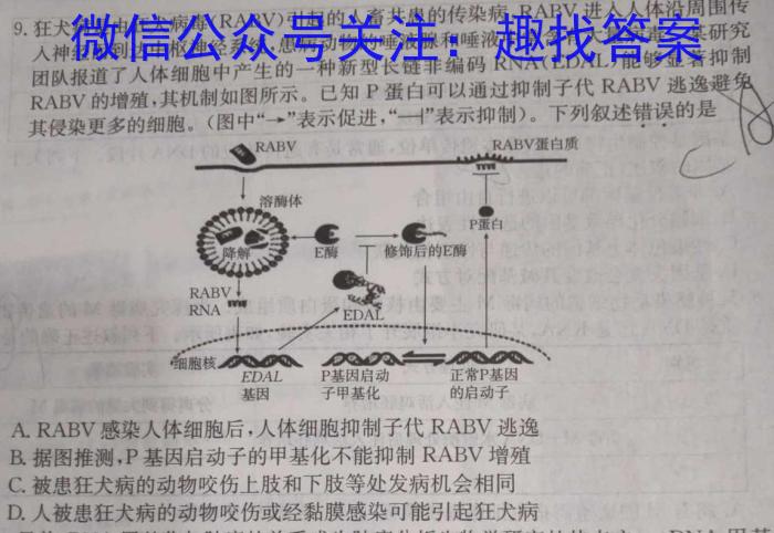 河南省驻马店市2023-2024学年度下学期八年级学情反馈试题数学