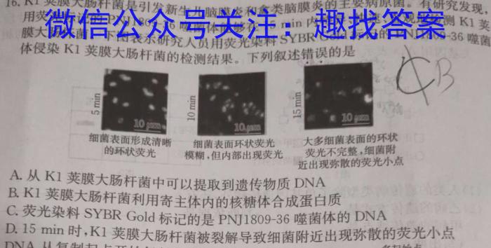 陕西省2024年九年级仿真模拟示范卷 SX(六)6生物学试题答案