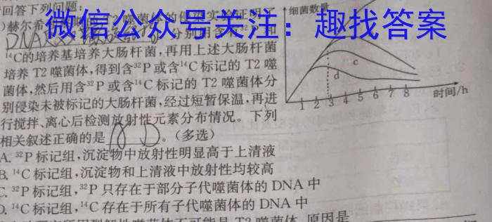 2025届新高三学情摸底考（新课标卷）数学