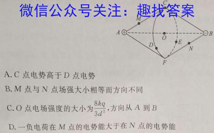 贵州省2024年初中学业水平考试全真模拟试卷（二）物理
