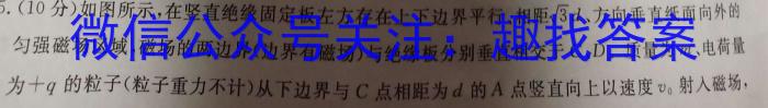 2024河南省中考学业备考全真模拟试卷（6.13）物理试卷答案