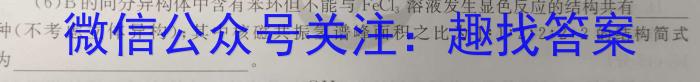 2024届高三5月联考(文档放大镜)数学