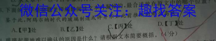 云南省昭通市乐居镇中学2024年春季学期高一年级4月考试LJ语文