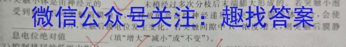 山西省2024届九年级下学期开学考试数学