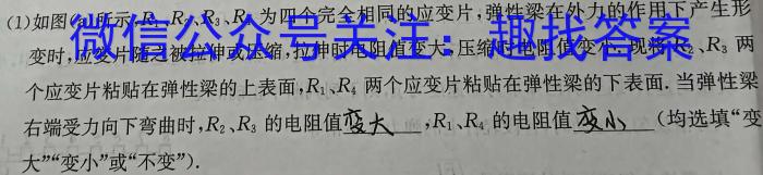 皖智教育 安徽第一卷·2024年安徽中考第一轮复习试卷(一)1q物理