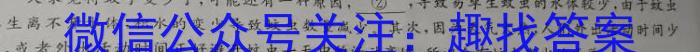 山西省2024年中考总复习专题训练 SHX(三)3/语文