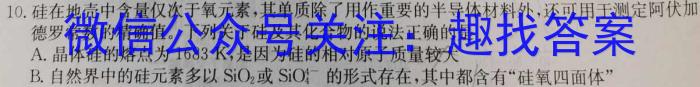 河北省石家庄市第二十八中学2024-2025学年初一年级开学摸底考试数学