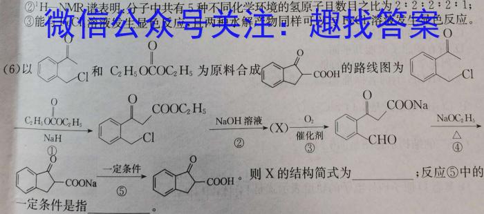 2024年湖北省新高考信息卷(一)数学