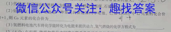 q江苏省张家港市2023-2024学年第二学期高三阶段性调研测试（2月）化学