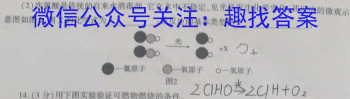 安徽省滁州市2024届天长市实验中学教育集团九年级课程质量检测数学