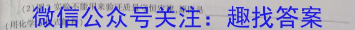 山西省2024年中考适应性评估（二）7L R数学