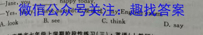 安徽省2023-2024学年度八年级教学期中考试（4.23）英语
