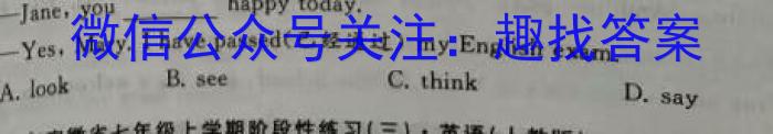 2023-2024学年山西九年级中考百校联盟考(一)1(24-CZ127c)英语试卷答案