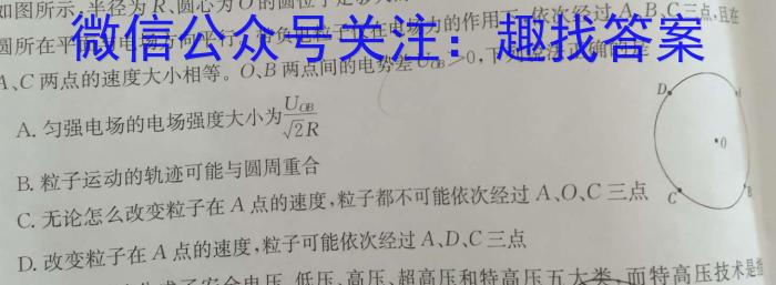 安徽省合肥市庐江县2024届九年级教学质量第二次抽测物理试题答案