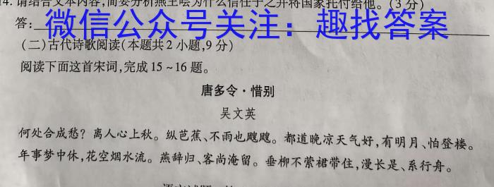 ［独家授权］安徽省2023-2024学年度九年级上学期期末教学质量调研四/语文