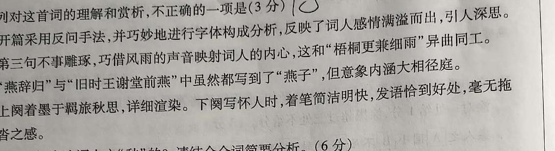 [今日更新]安徽省2024年中考总复习专题训练 R-AH(十)10语文试卷答案