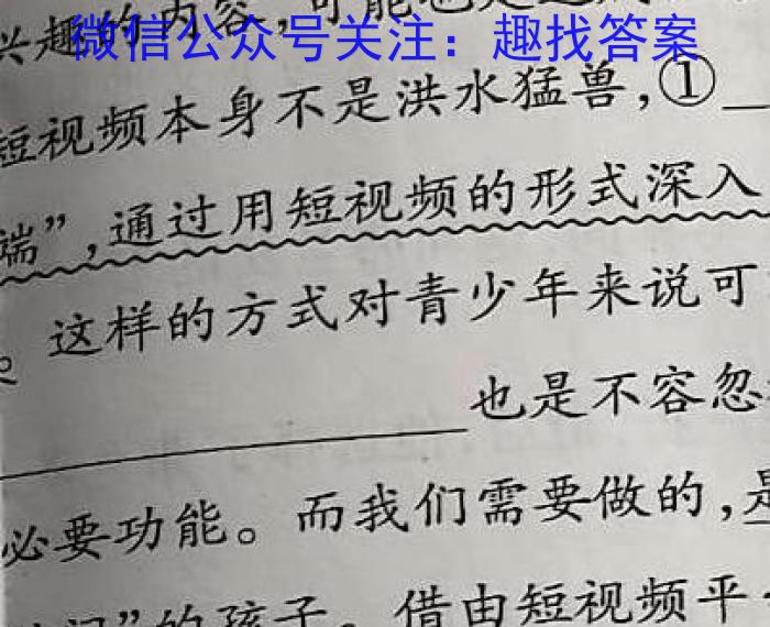 安徽省2024年八年级教学质量检测（4月）语文