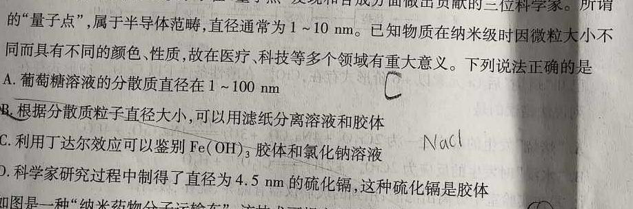 62024年武汉市中考适应性考试2024.3.29化学