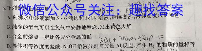 安徽省2024年九年级考试无标题(G)化学