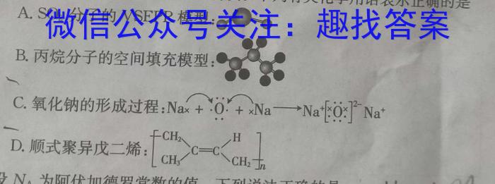 2024年河南省初中学业水平考试全真模拟试卷(二)数学