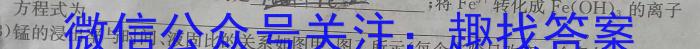 广西2025届贵百河—武鸣高中11月高三摸底考试化学