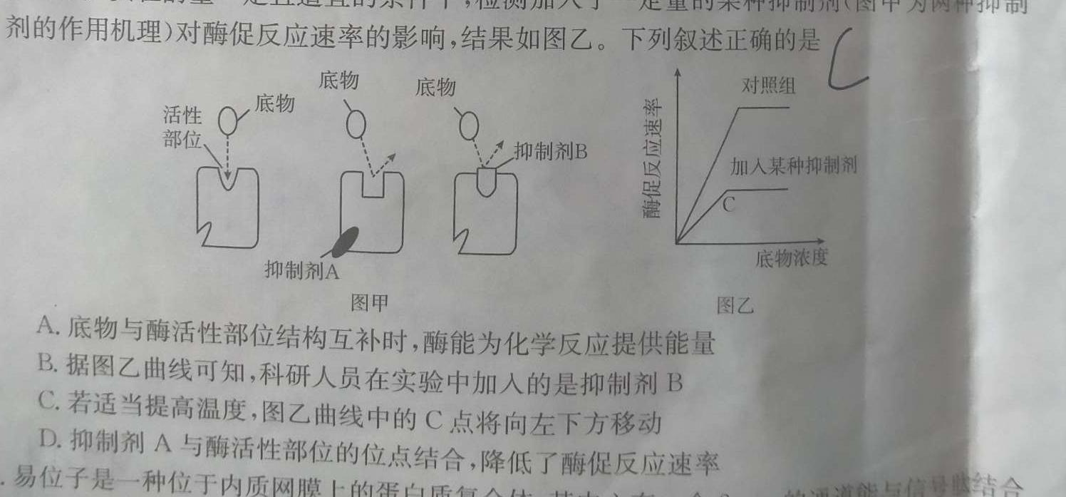 安徽省2023-2024学年第二学期九年级教学质量检测（二）生物学部分