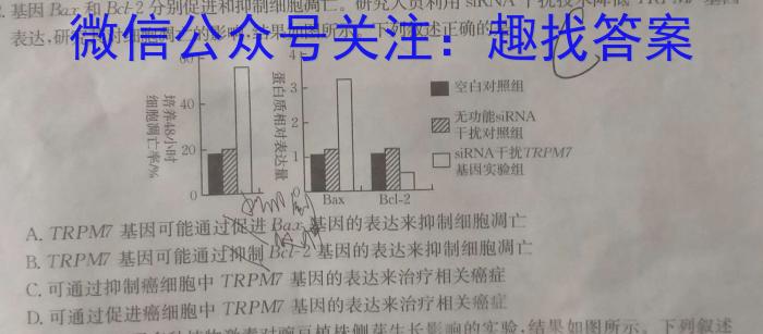 2024届清北书院考前模拟二生物试题