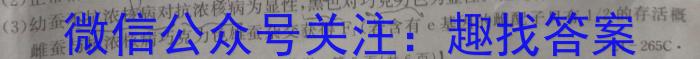 2024年广东省初中学业水平模拟考试(四)4数学