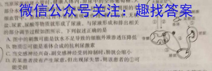 九师联盟 2024届高三2月开学考N答案生物学试题答案