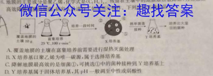 江西省宜春市丰城中学2024-2025年上学期初二入学考试数学