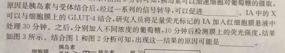 【湛江一模】湛江市2024年普通高考测试（一）生物学